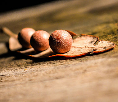 网络ddos攻击软件